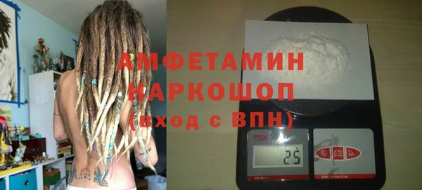 стафф Ельня