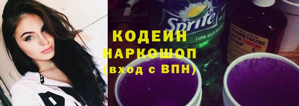 стафф Ельня