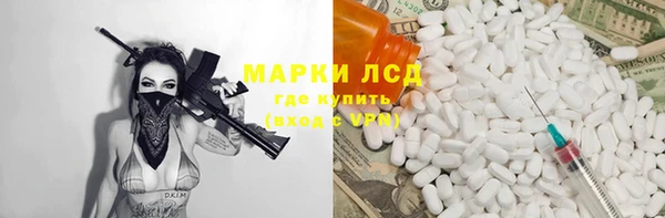 стафф Ельня