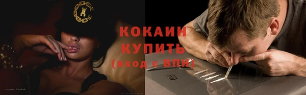 стафф Ельня