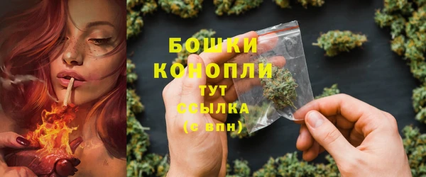 стафф Ельня